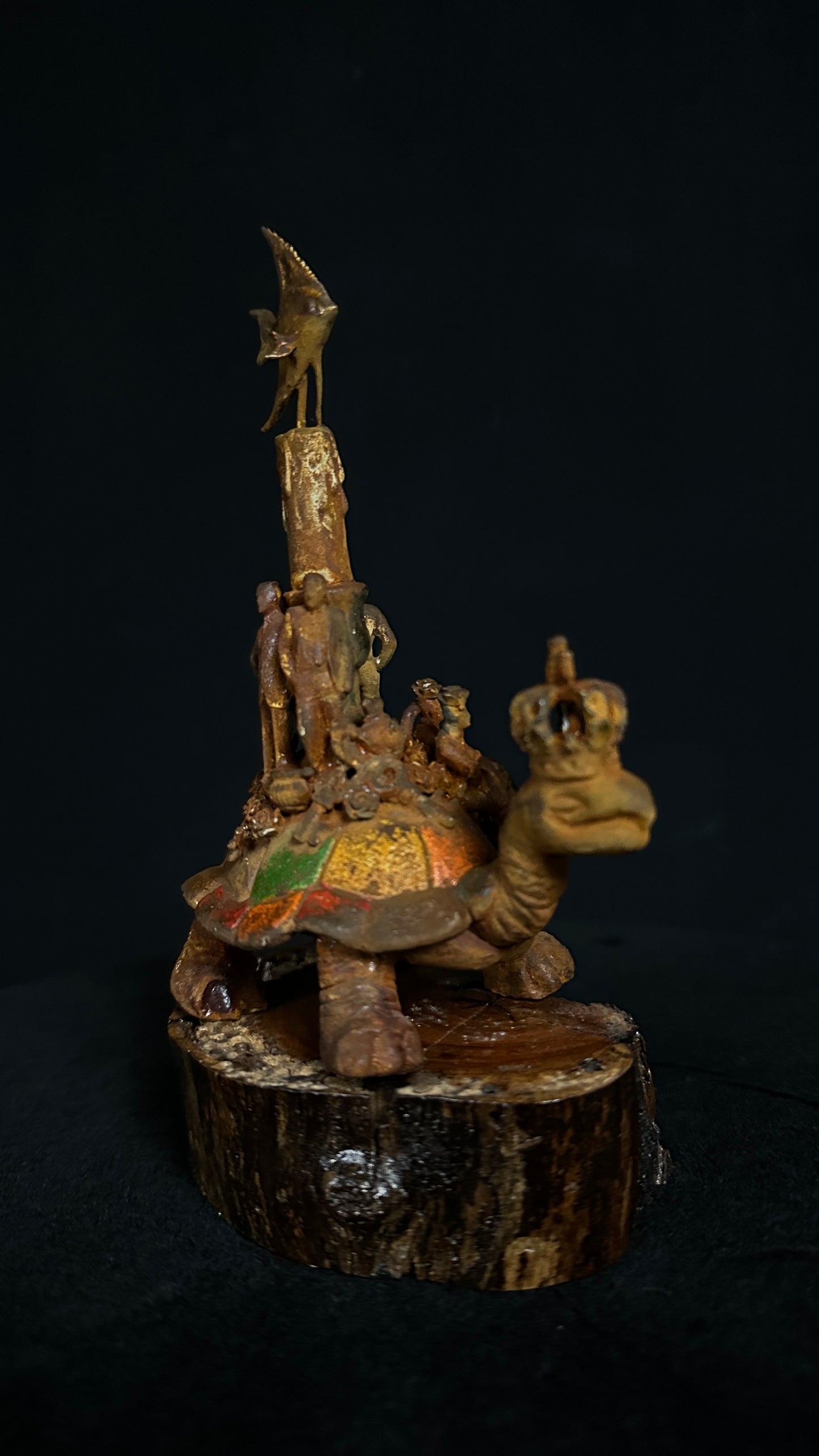 Tortoise Series: Happy and Gay