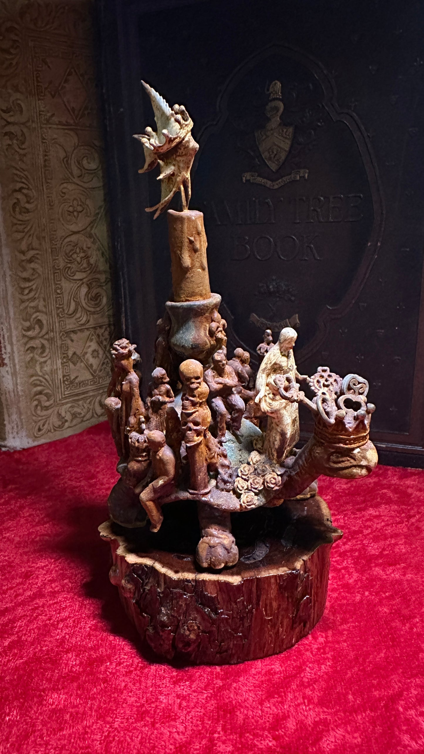 Tortoise Series: Broken