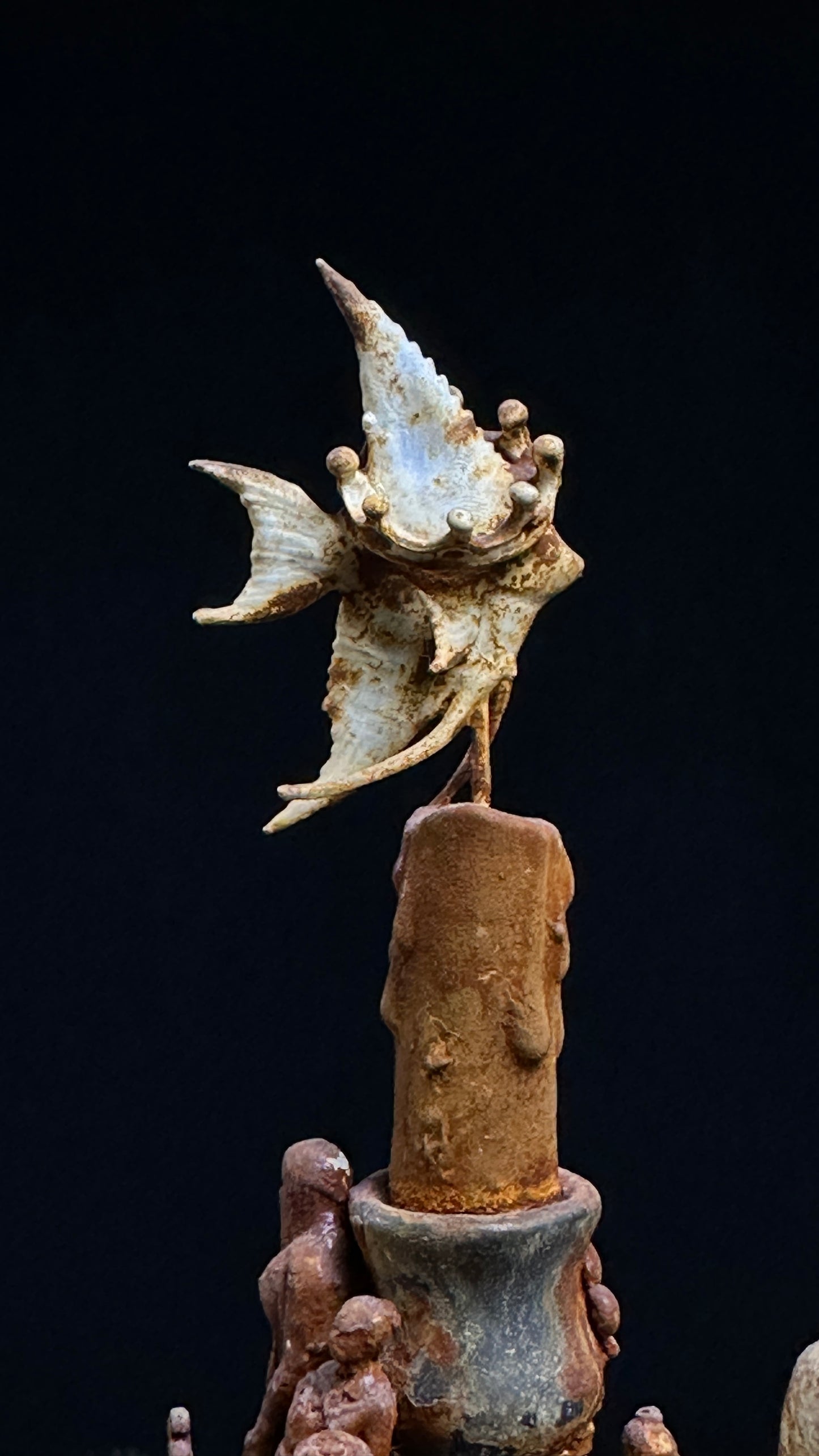 Tortoise Series: Broken