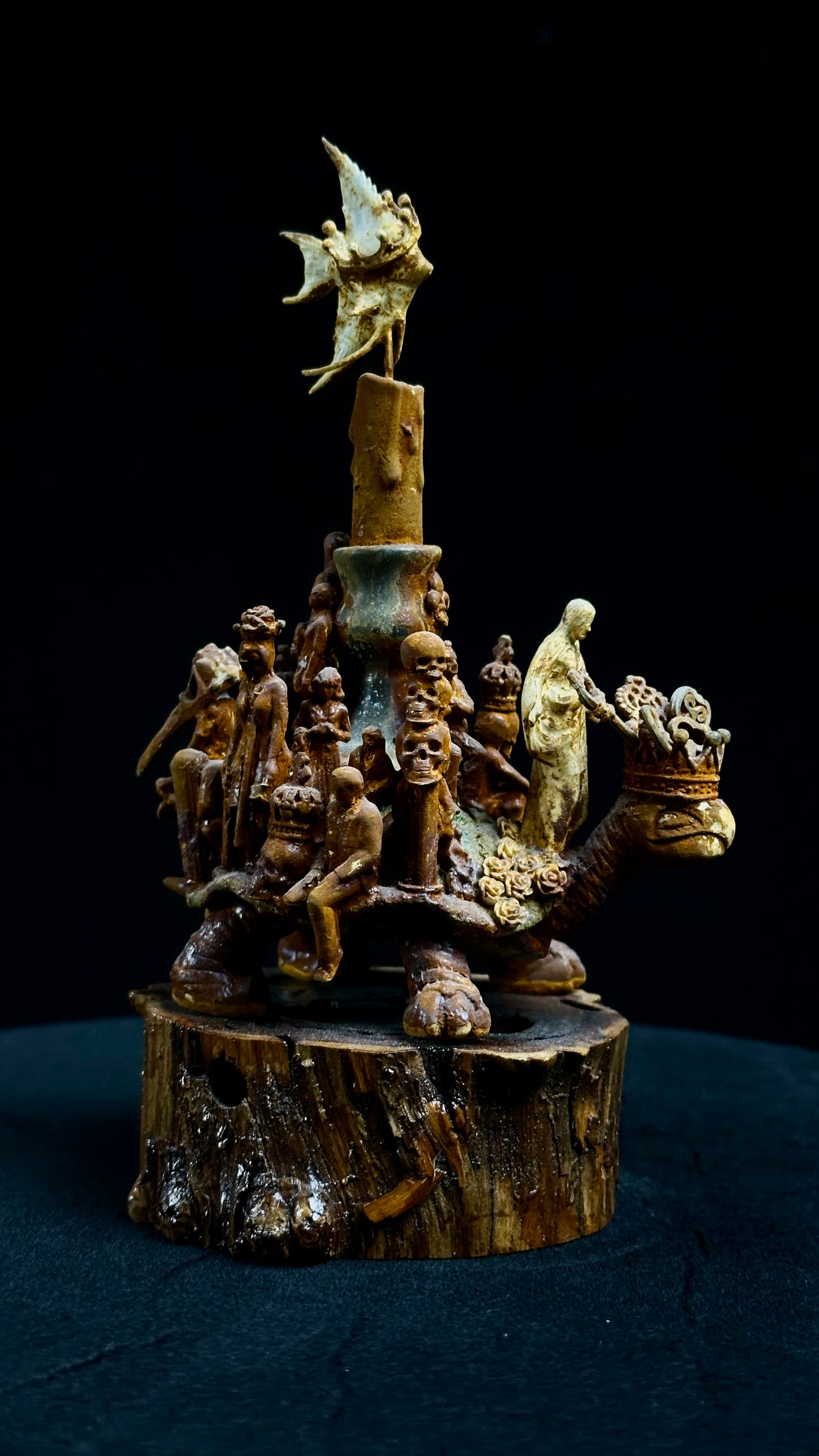 Tortoise Series: Broken