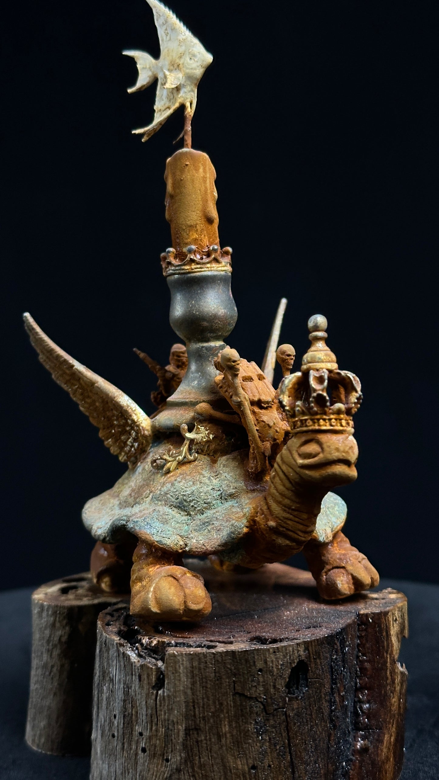 Tortoise Series: Grounded Flight