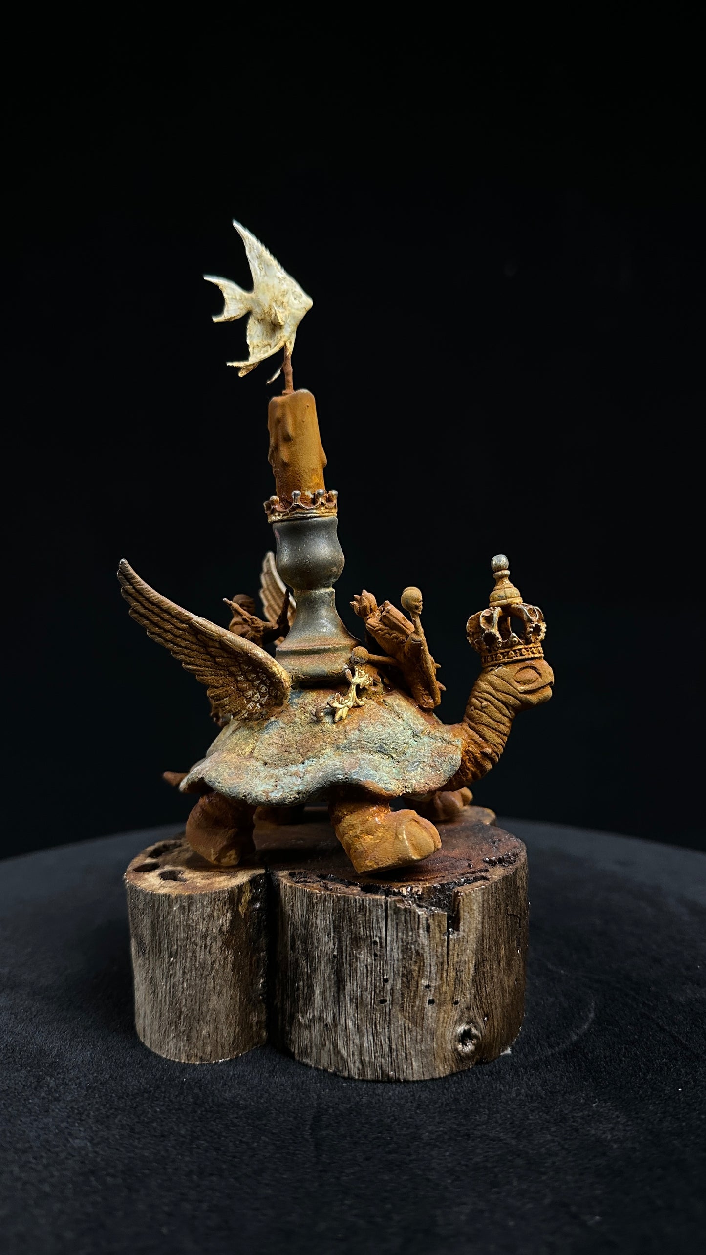 Tortoise Series: Grounded Flight