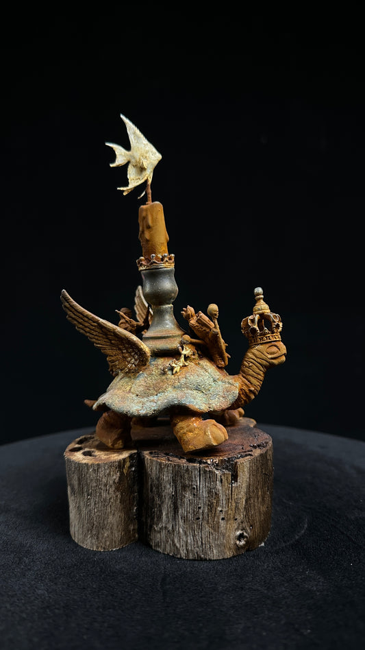 Tortoise Series: Grounded Flight