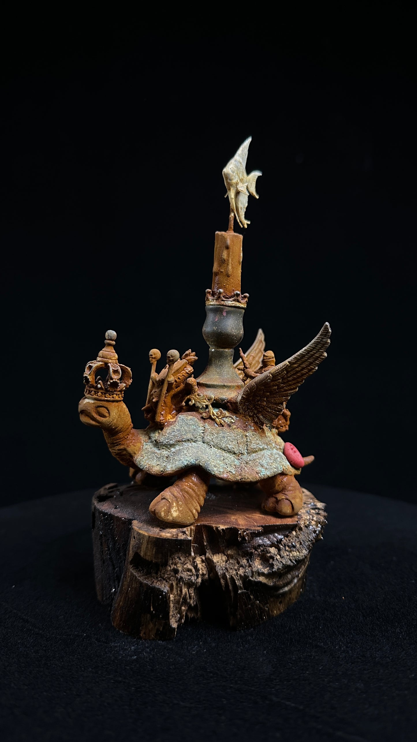 Tortoise Series: Grounded Flight