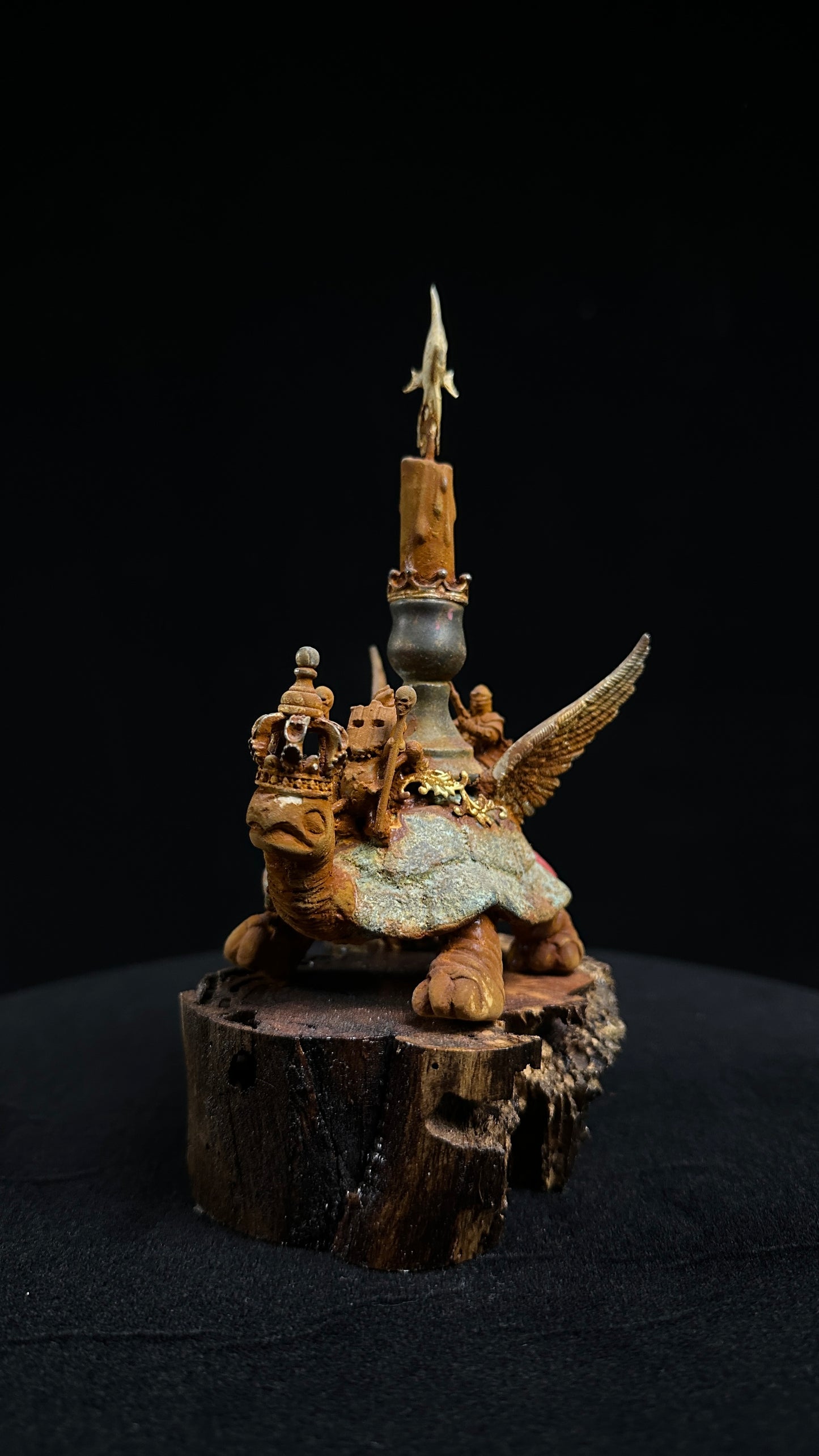 Tortoise Series: Grounded Flight