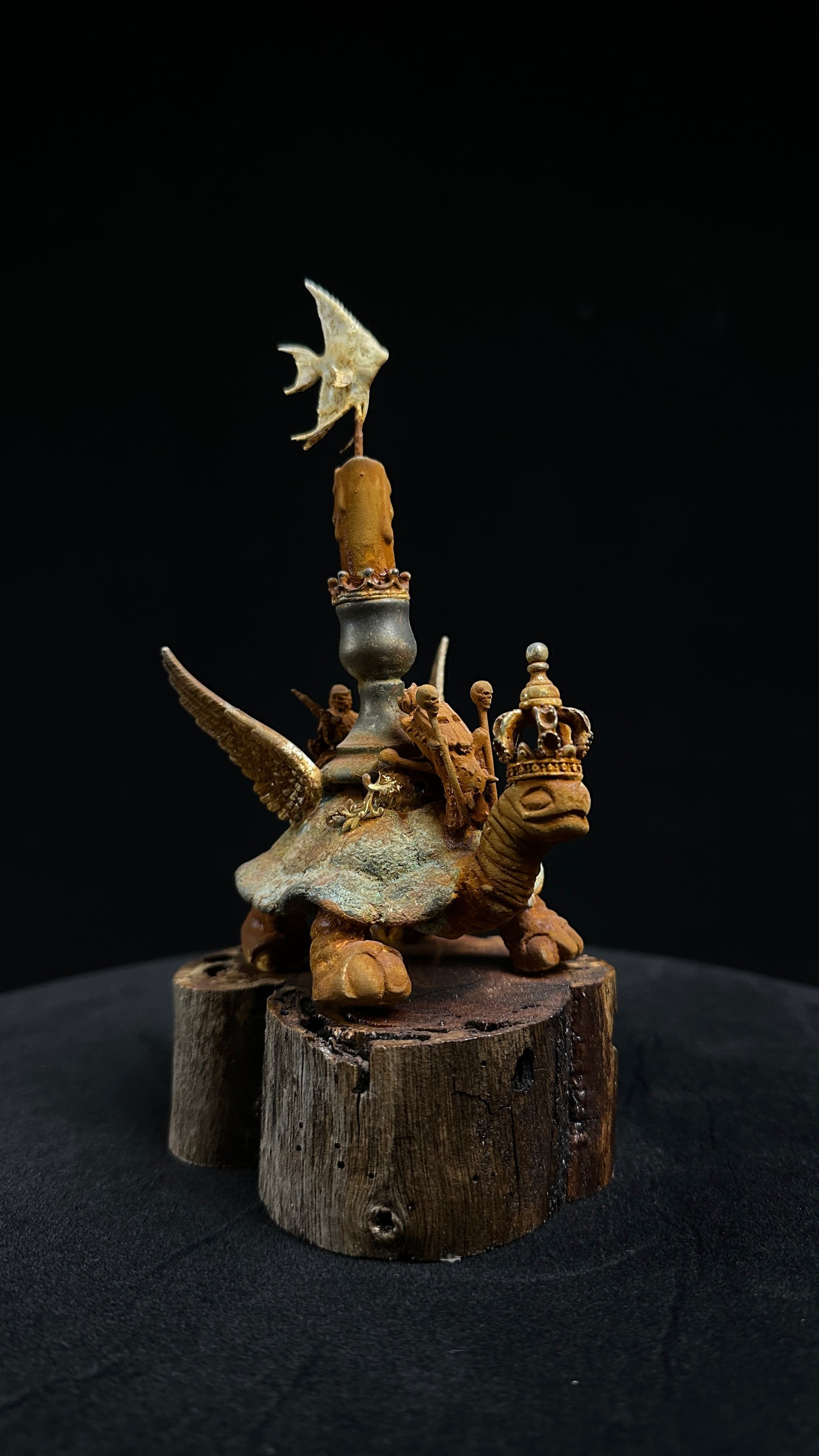 Tortoise Series: Grounded Flight