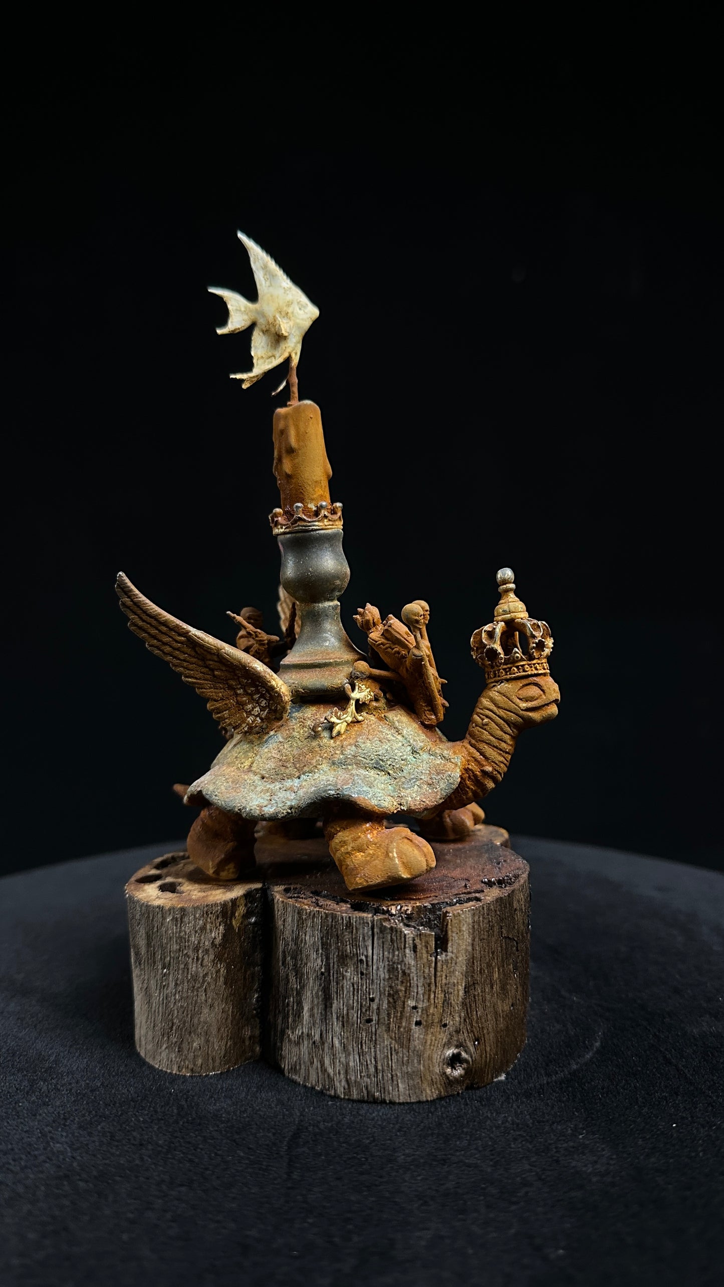 Tortoise Series: Grounded Flight