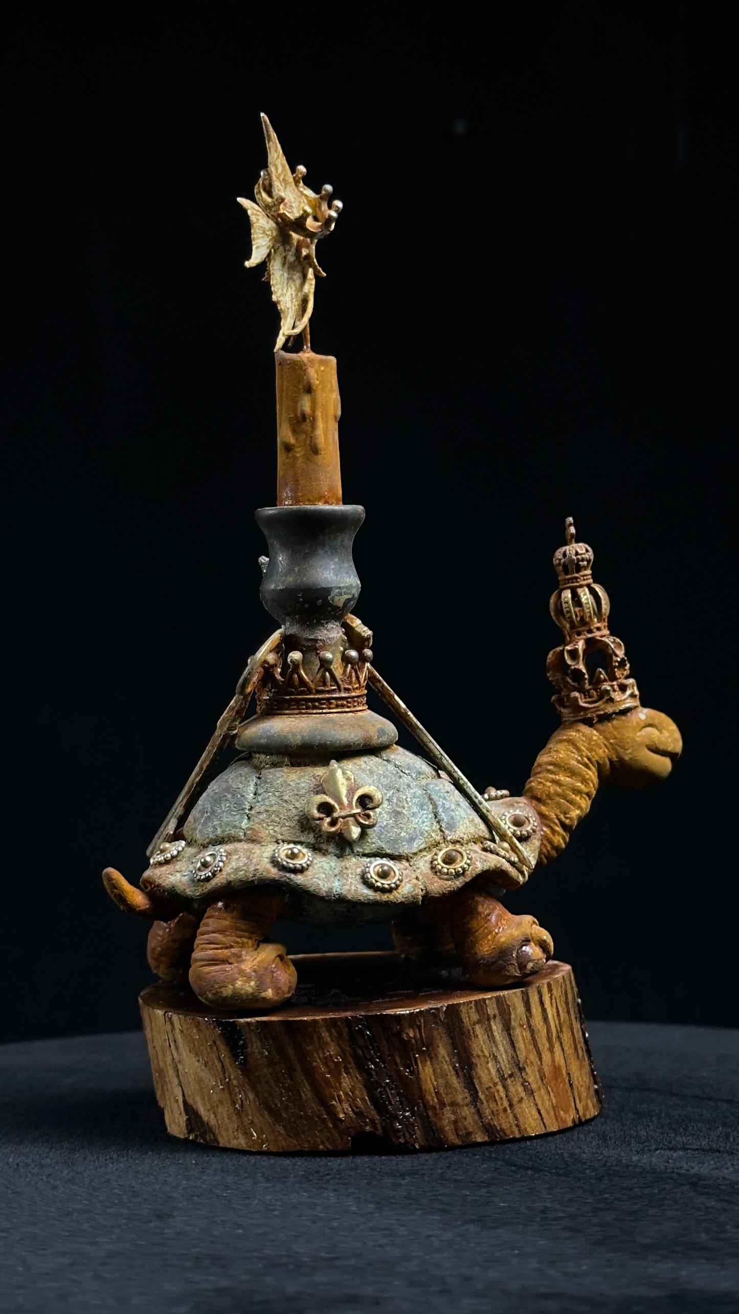 Tortoise Series: Victory