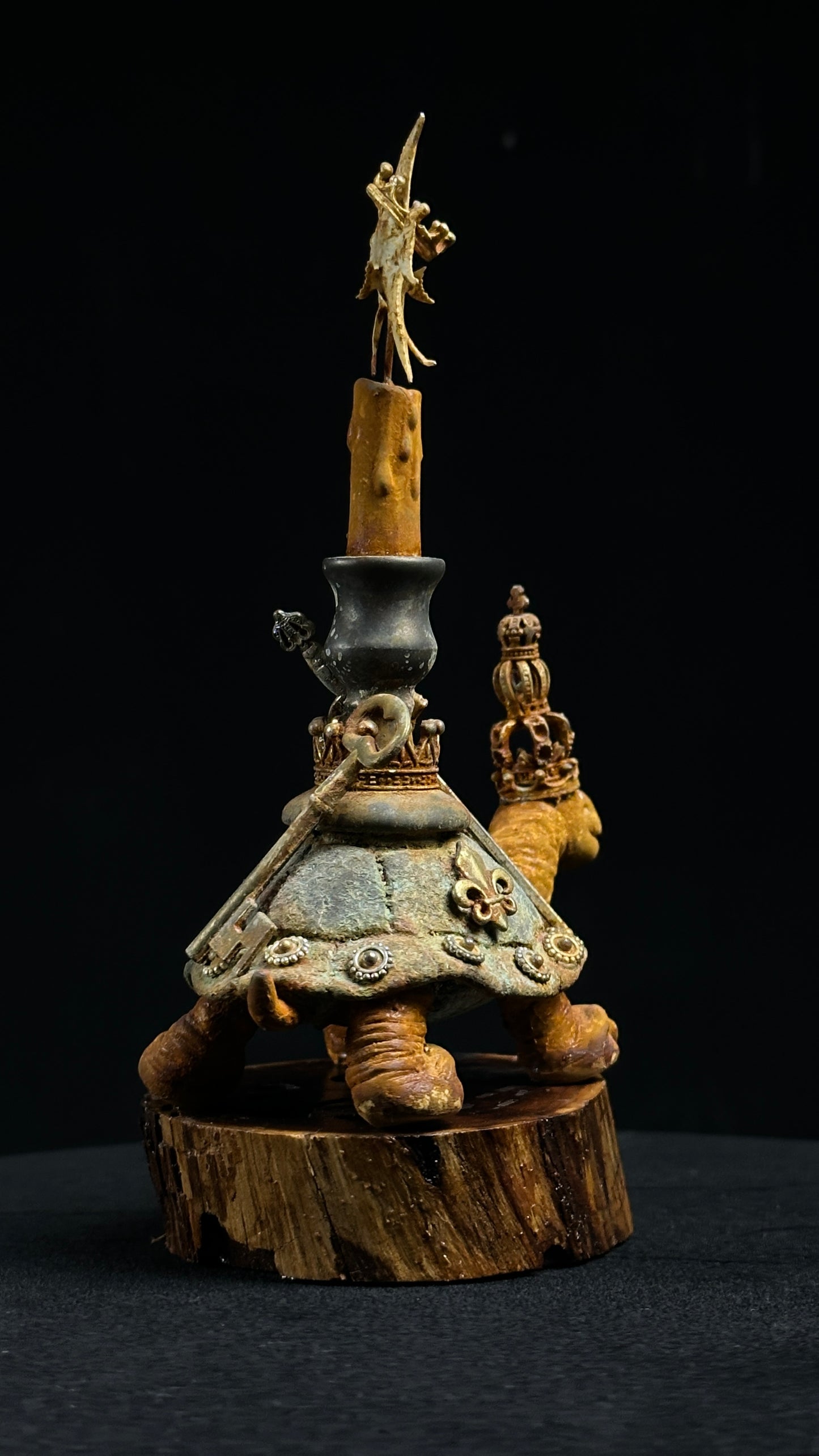 Tortoise Series: Victory