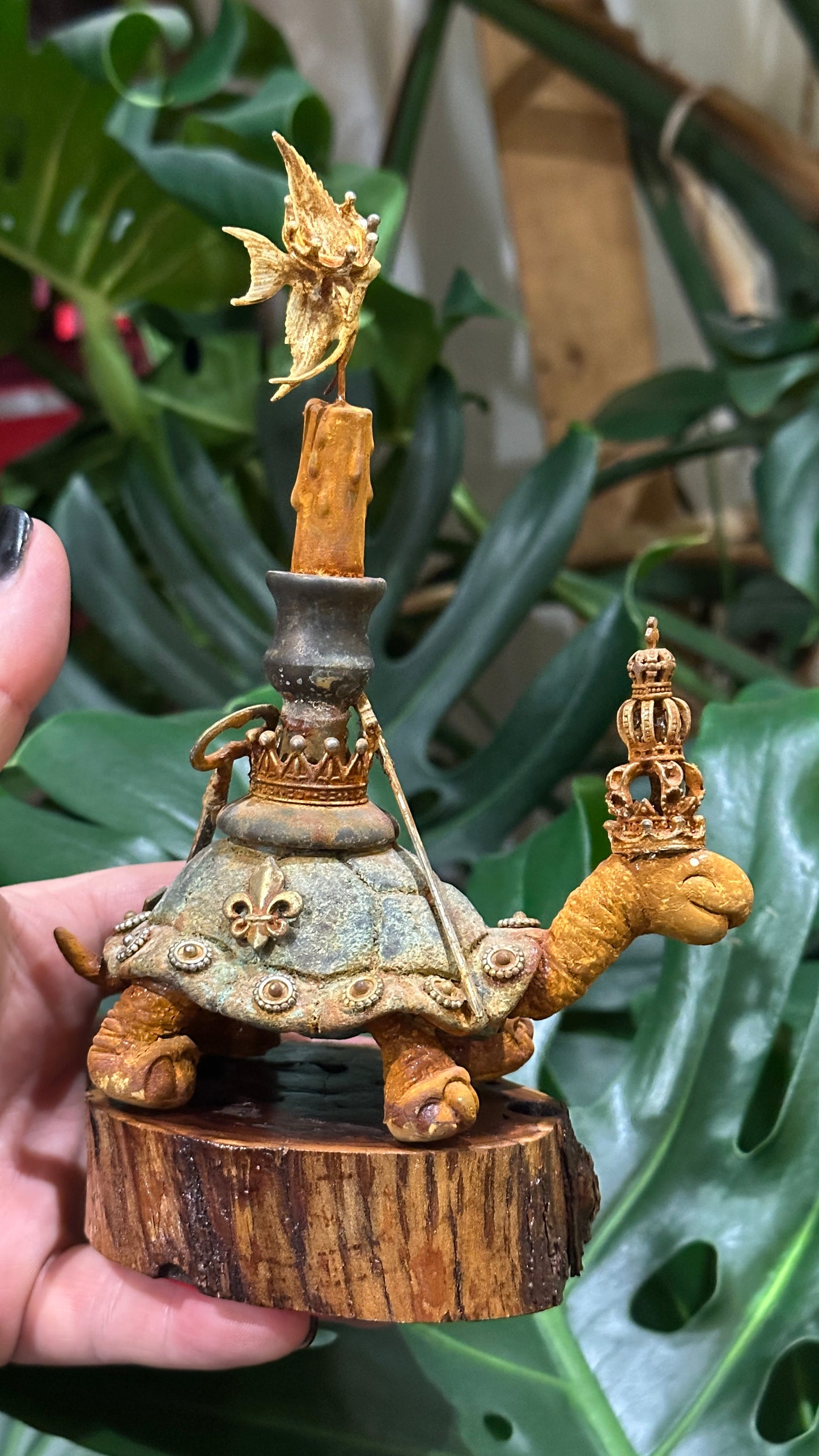 Tortoise Series: Victory