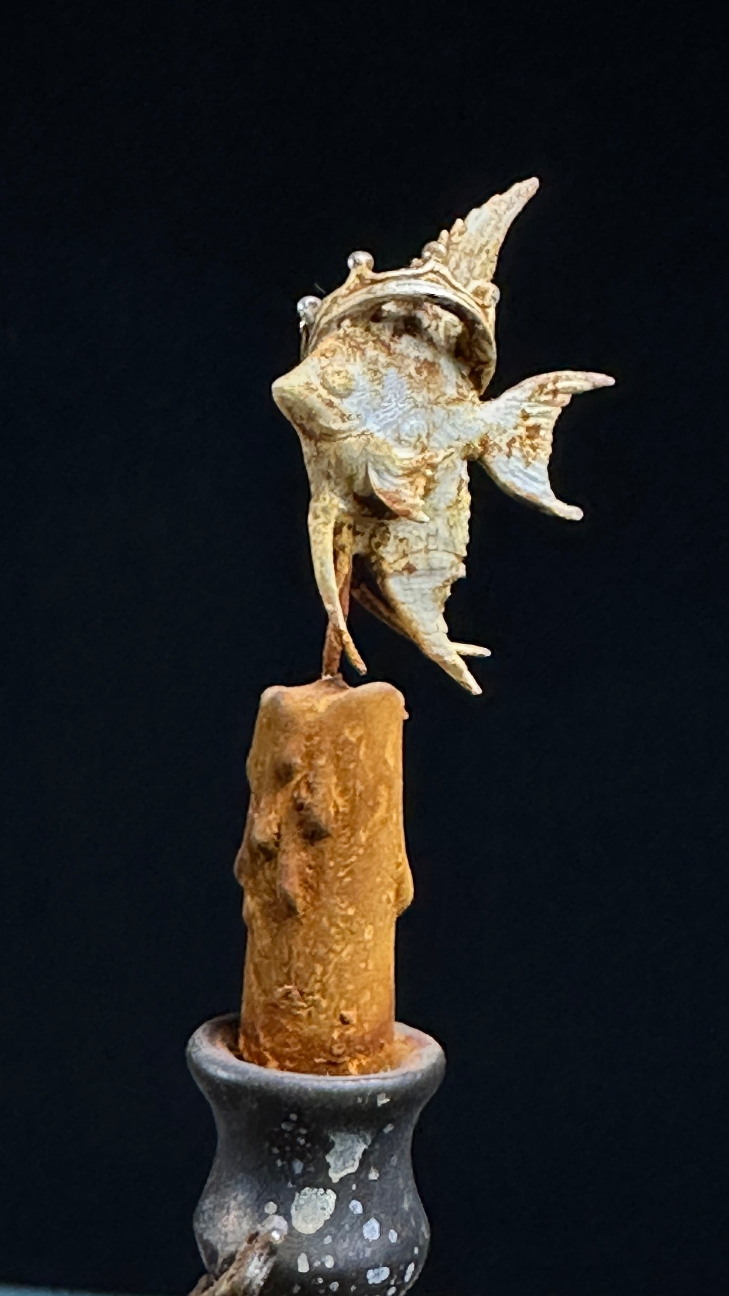 Tortoise Series: Victory