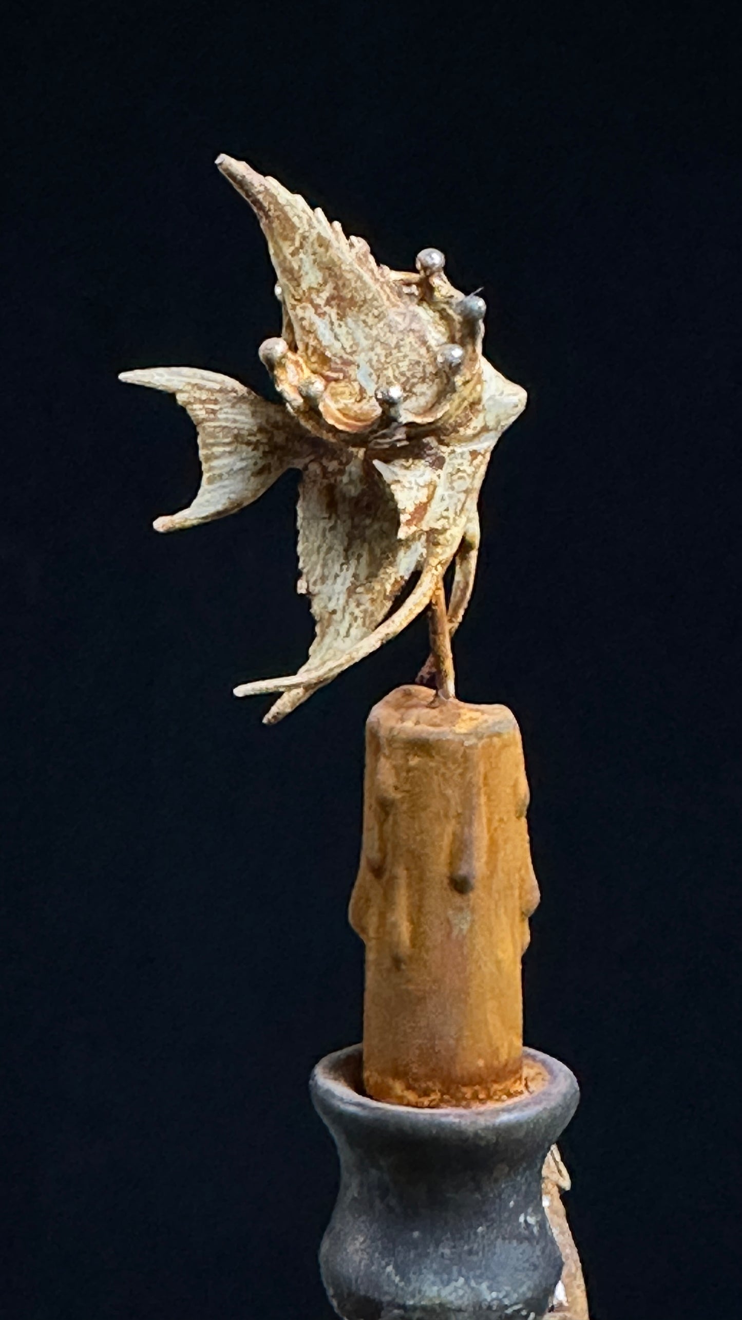 Tortoise Series: Victory